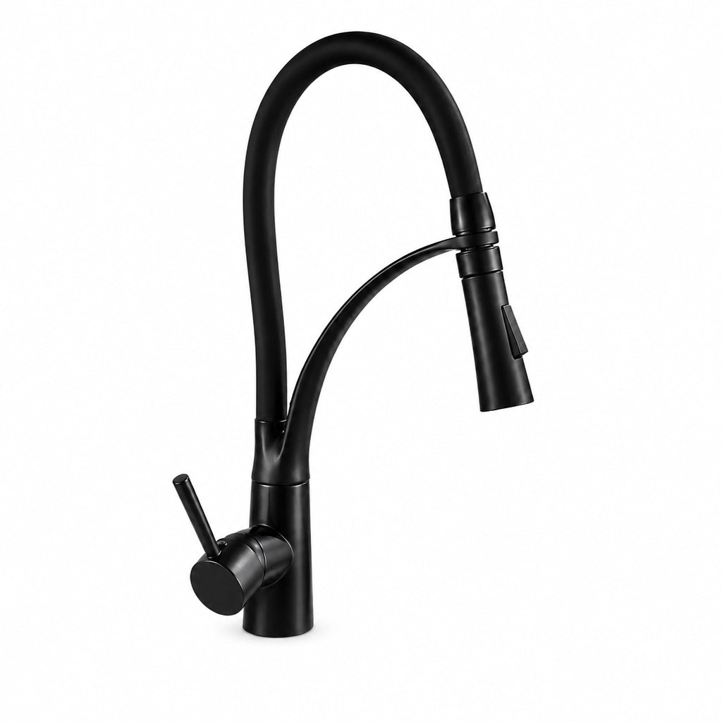 Robinet de cuisine douchette extractible 360°, finition noire, Robin'Home