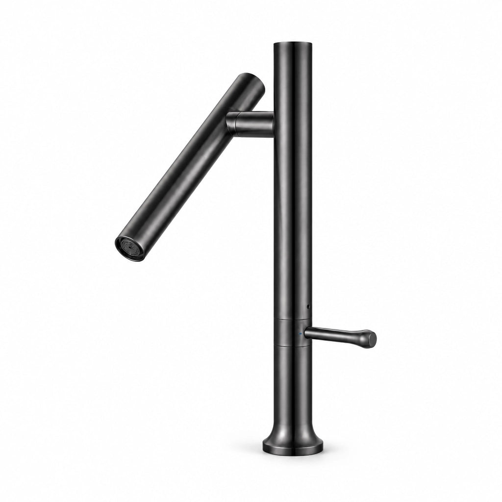 Robinet de cuisine design bec orientable, acier inoxydable, finition gris anthracite, Robin'Home