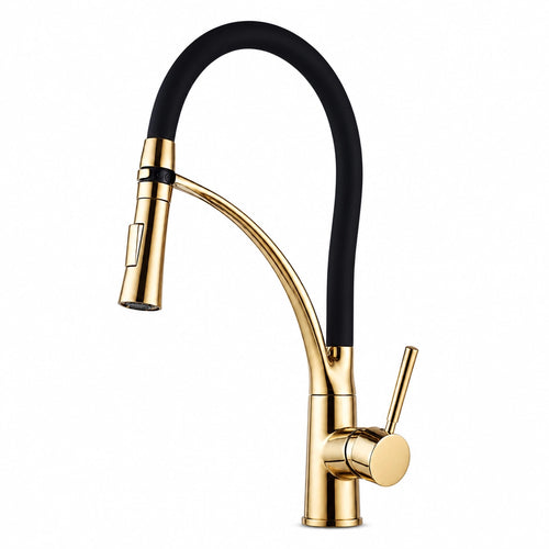 Robinet de cuisine douchette extractible 360°, finition dorée, Robin'Home