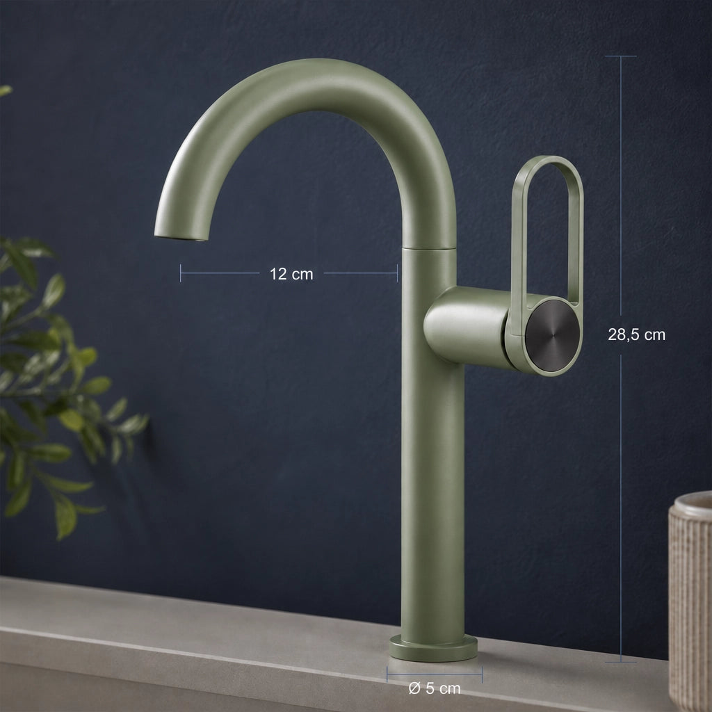 Robinet de Salle de Bain Design Col de Cygne